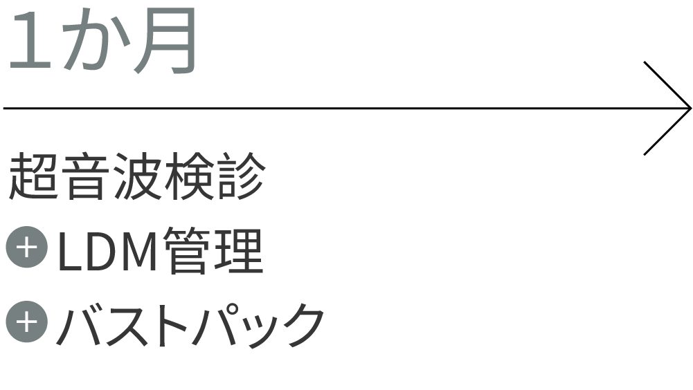 1か月：超音波検診、LDM管理、バストパック