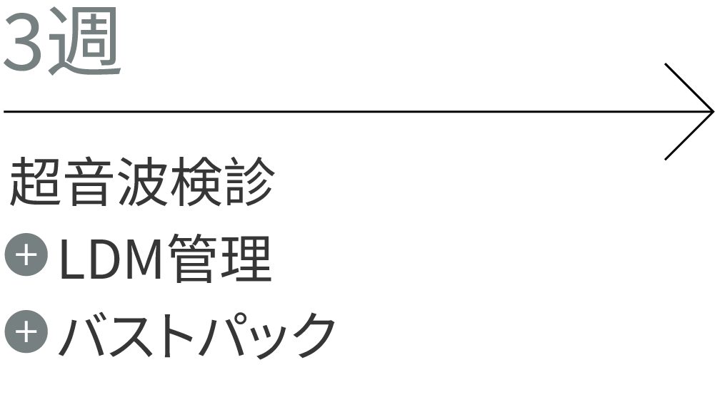 3週：超音波検診、LDM管理、バストパック
