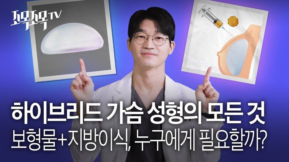 KR  탐색 건너뛰기 검색     만들기  아바타 이미지  하이브리드 가슴 성형의 모든 것: 보형물 + 지방이식, 누구에게 필요할까?