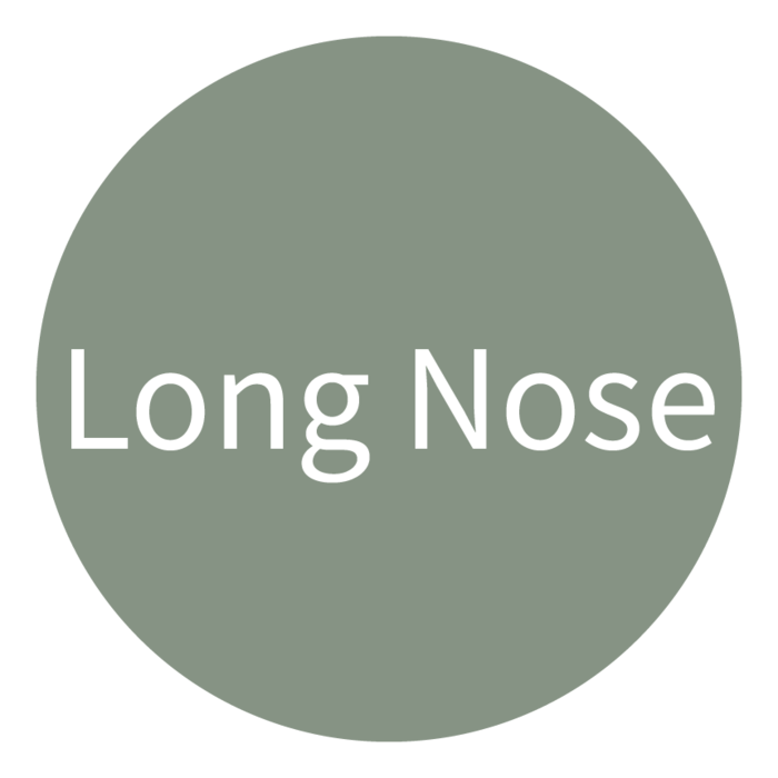 Long Nose type icon