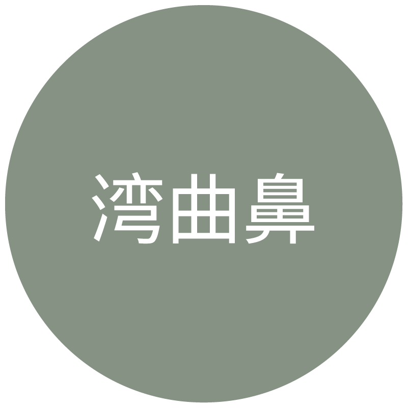 湾曲鼻タイプのアイコン