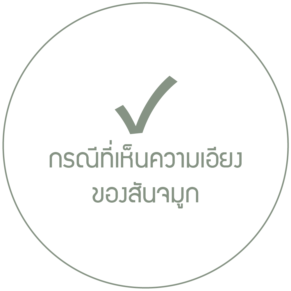 กรณีที่เห็นความเอียงของสันจมูก