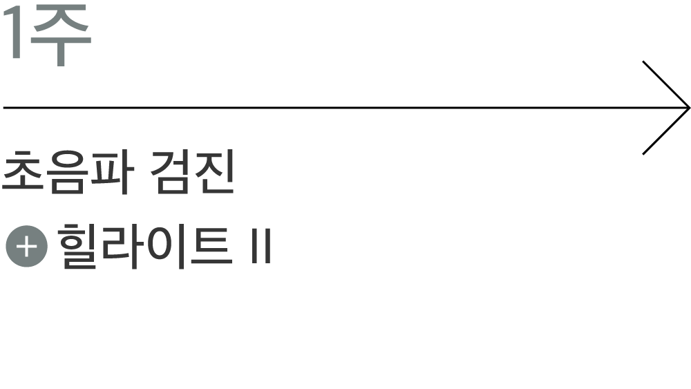 1주: 초음파 검진, 힐라이트 II