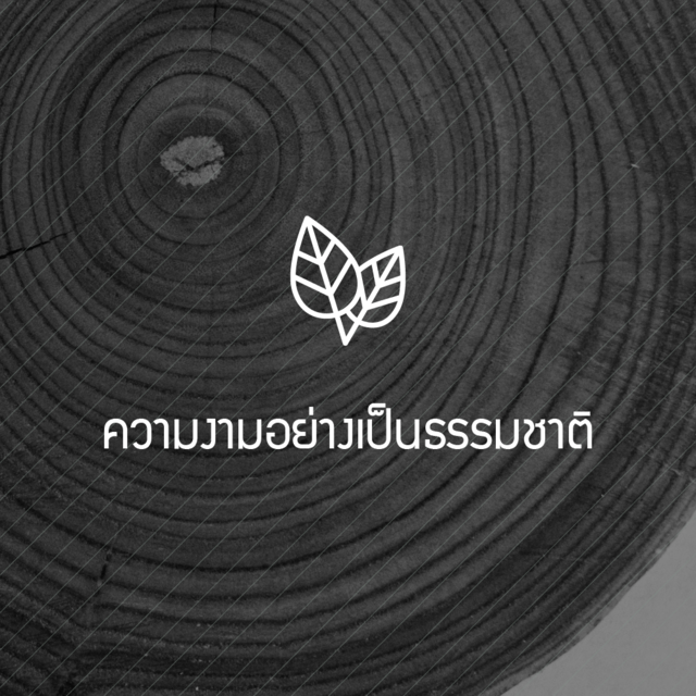 ความงามอย่างเป็นธรรมชาติ — ภาพพื้นผิวลายวงปีไม้ที่มีไอคอนใบไม้
