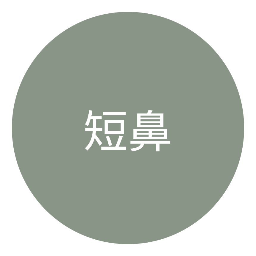 短鼻类型图标
