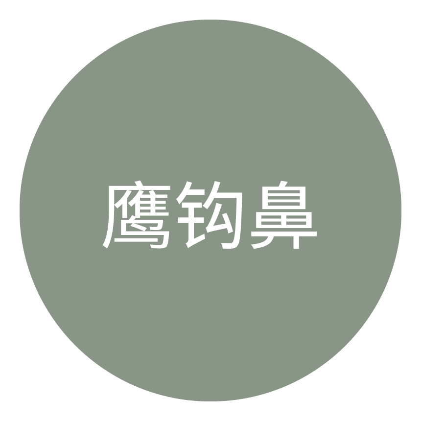 鹰钩鼻类型图标