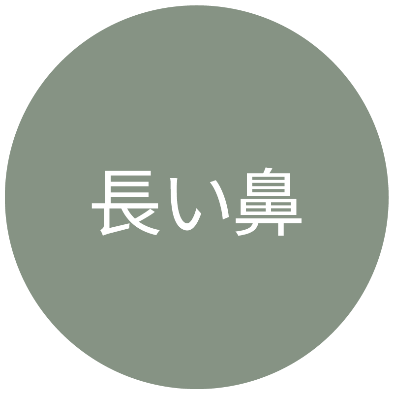 長い鼻タイプのアイコン