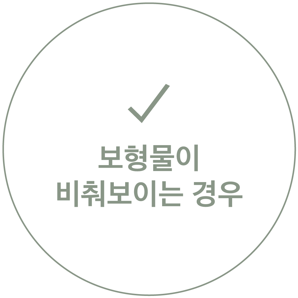 보형물이 비춰보이는 경우