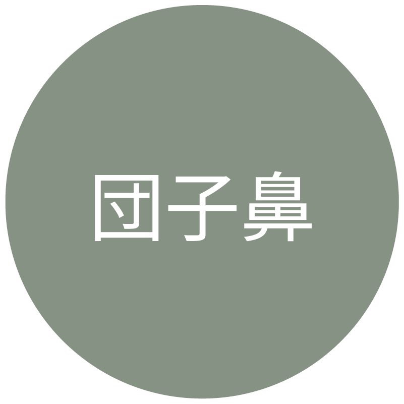 団子鼻タイプのアイコン