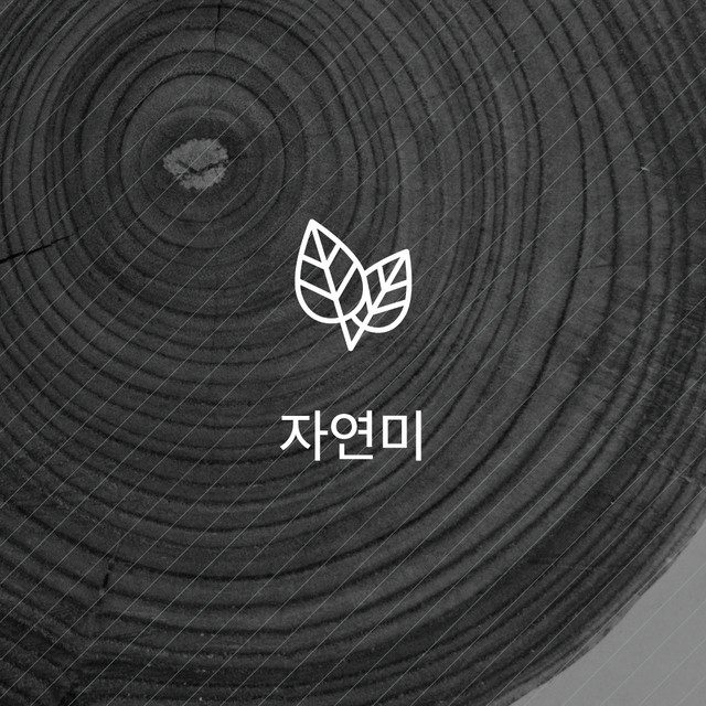 자연미 — 잎사귀 아이콘이 그려진 나이테 텍스처 사진