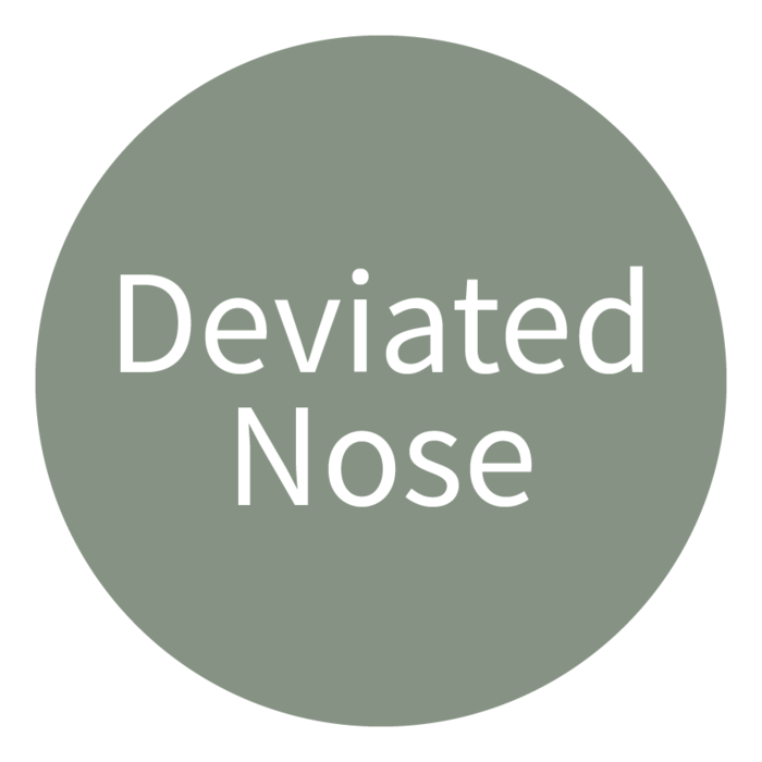 Deviated Nose type icon