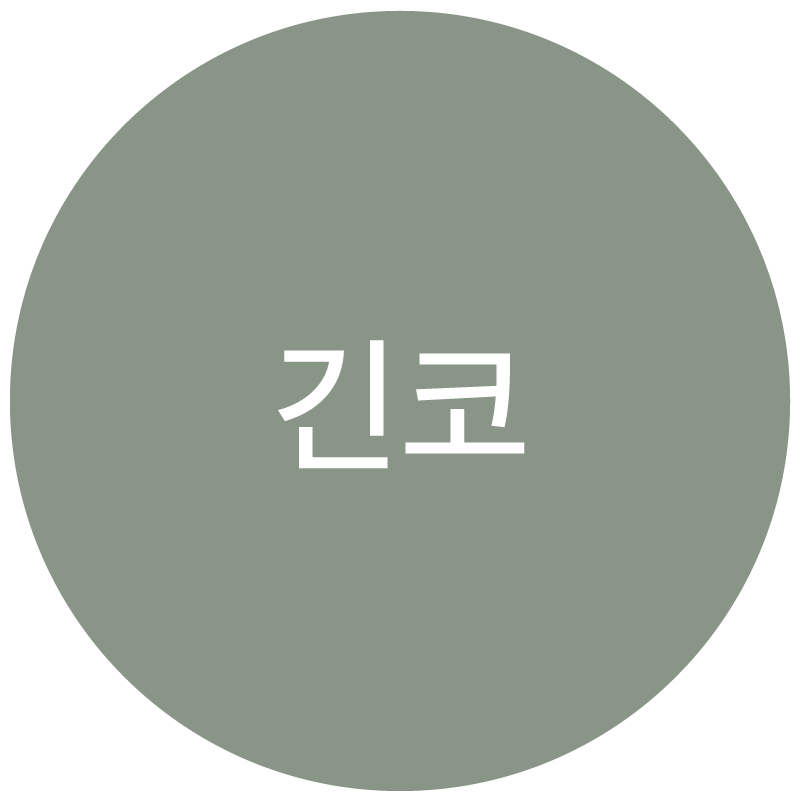 긴코 유형 아이콘