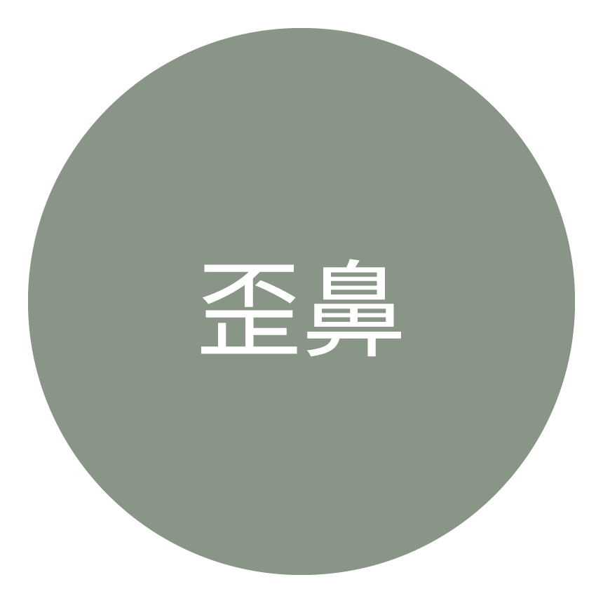 歪鼻类型图标