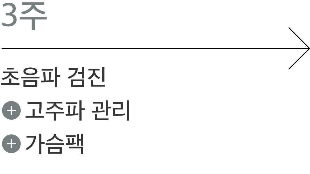 3주: 초음파 검진, 고주파 관리, 가슴팩