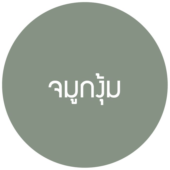 ไอคอนจมูกงุ้ม