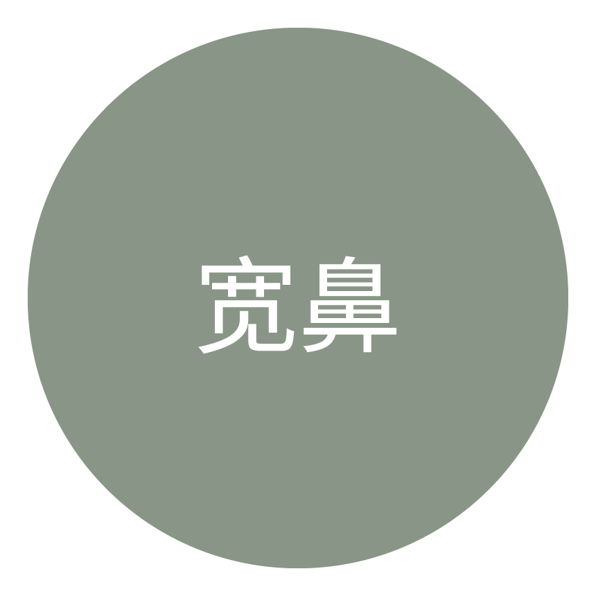 宽鼻类型图标