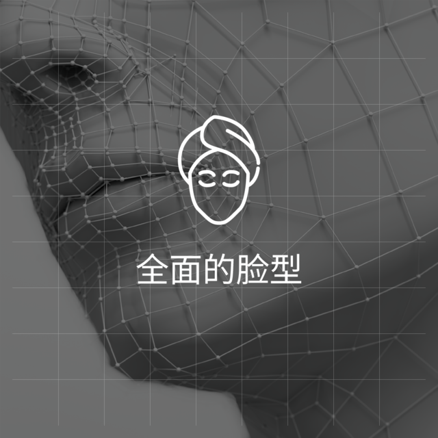 全面的脸型