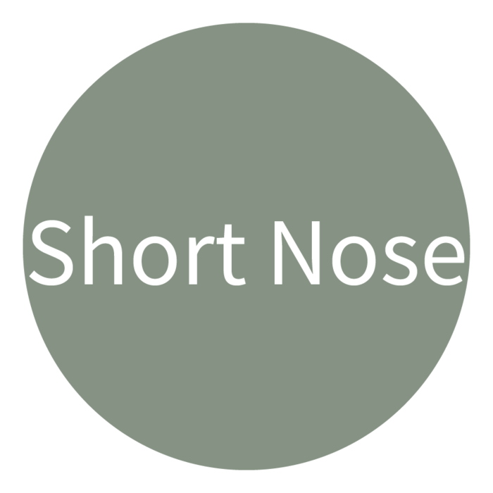 Short Nose type icon