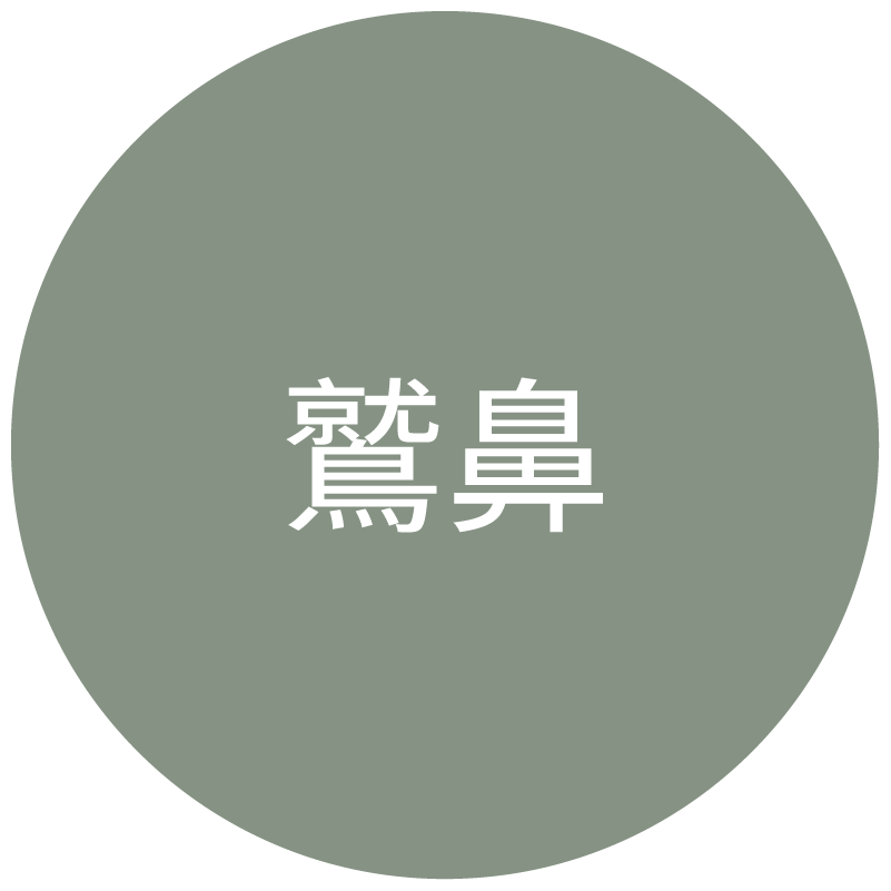 鷲鼻タイプのアイコン