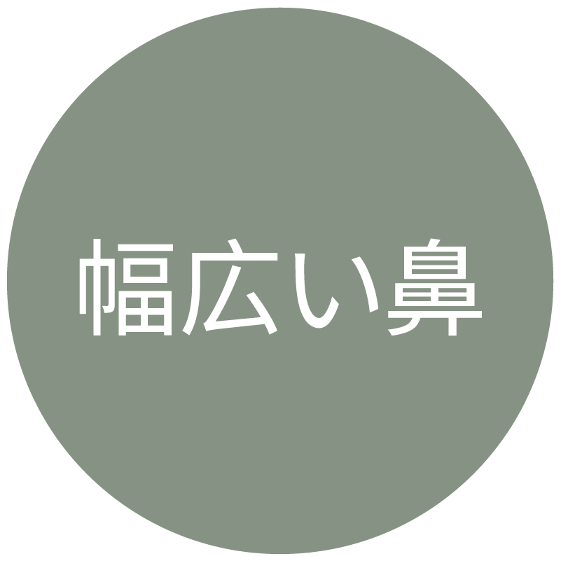 幅広い鼻タイプのアイコン