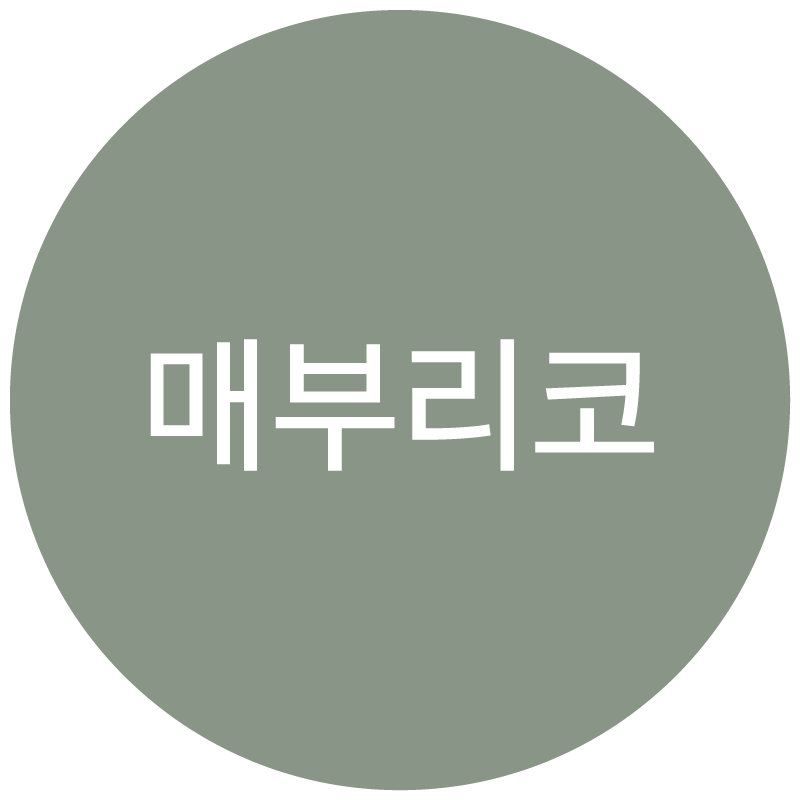 매부리코 유형 아이콘