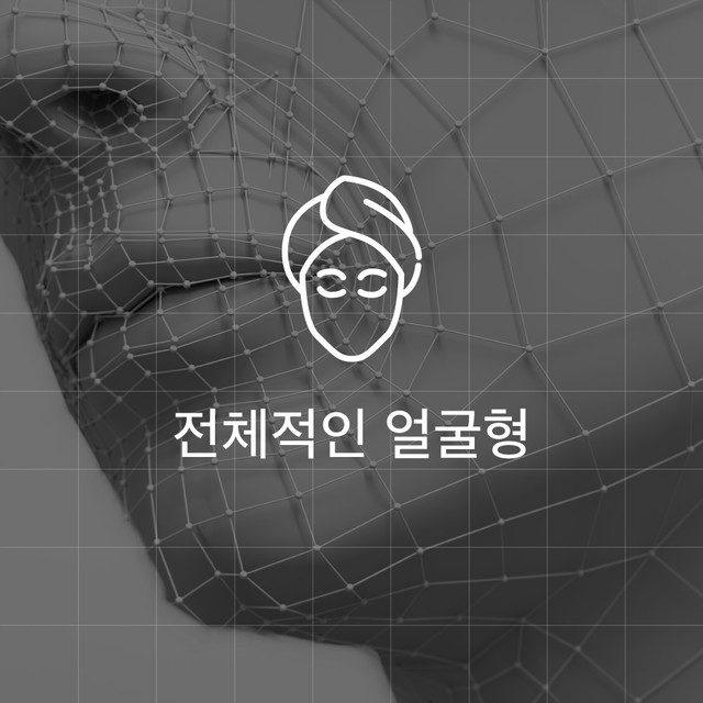 전체적인 얼굴형