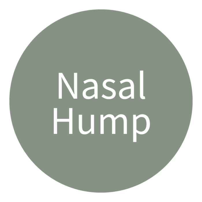 Nasal Hump type icon
