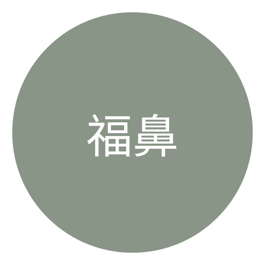 福鼻类型图标