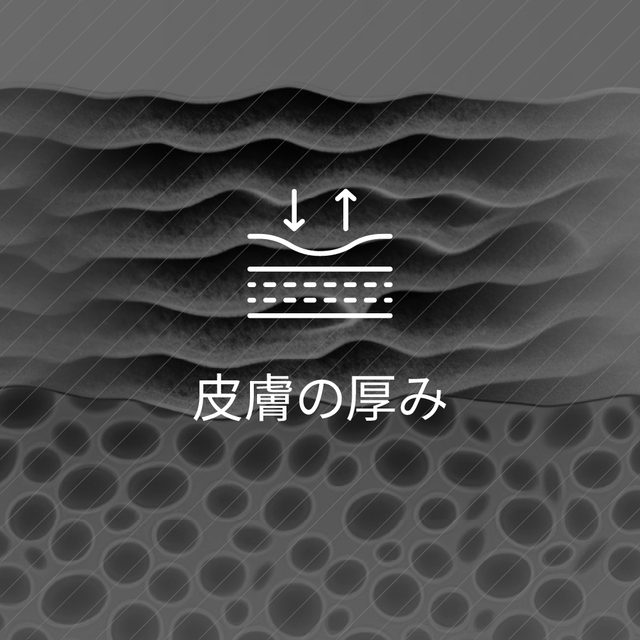 皮膚の厚み(アンチエイジング診断基準アイコン)