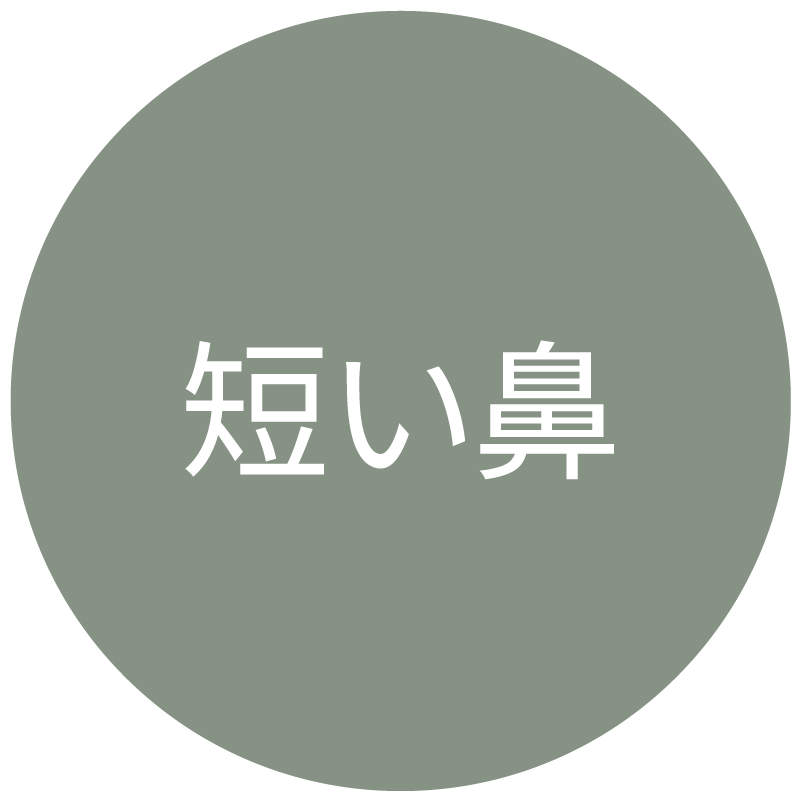 短い鼻タイプのアイコン
