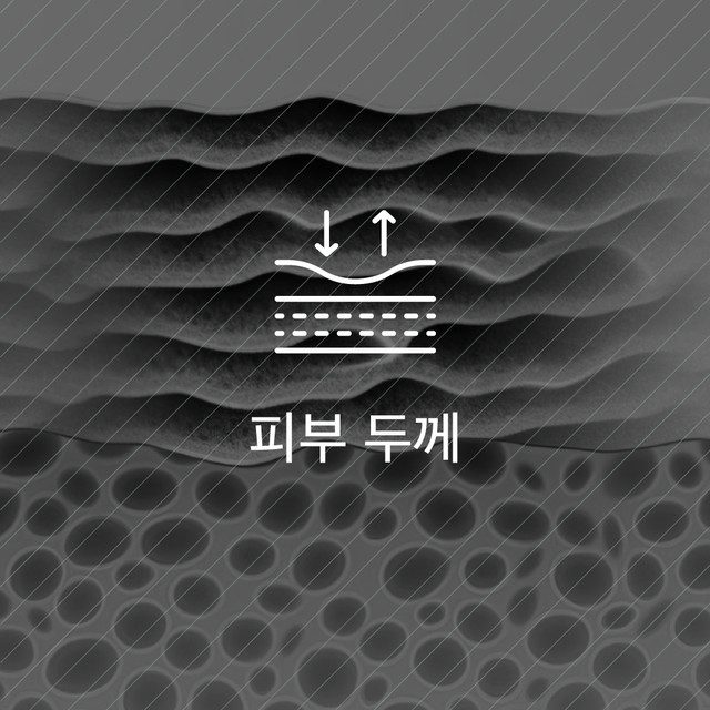 피부 두께