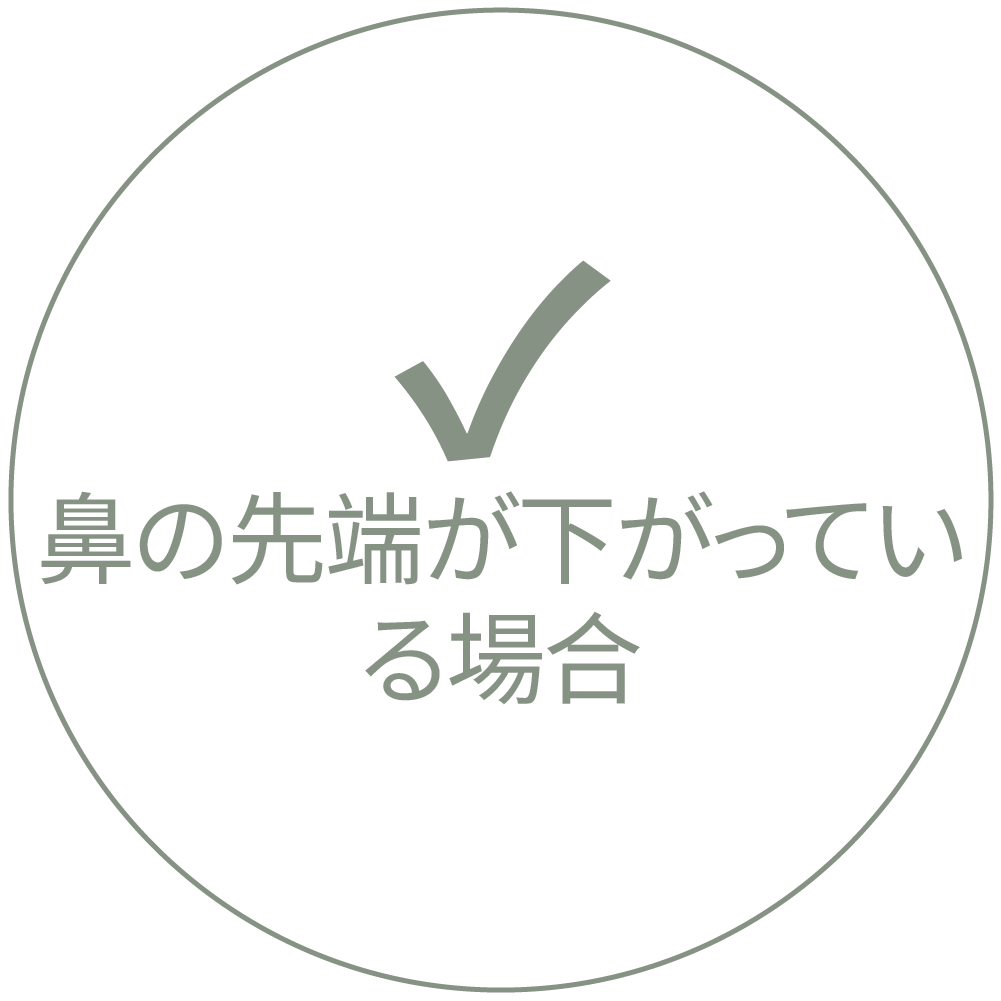 鼻先が低くなった場合