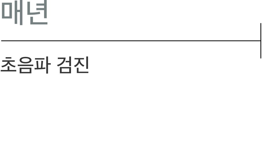 매년: 초음파 검진