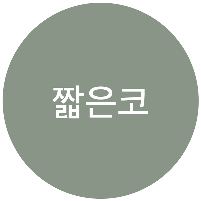 짧은코 유형 아이콘
