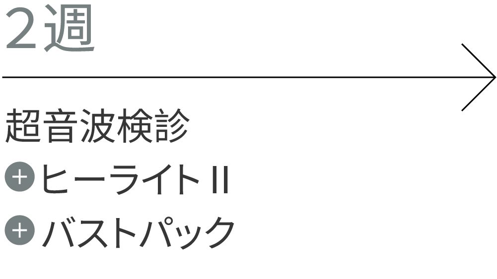 2週：超音波検診、Healite II、バストパック