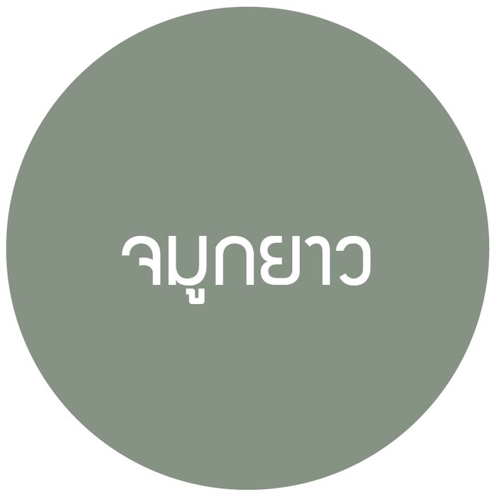 ไอคอนจมูกยาว