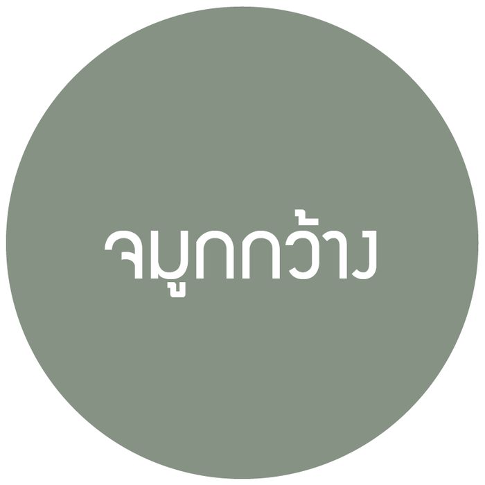 ไอคอนจมูกกว้าง