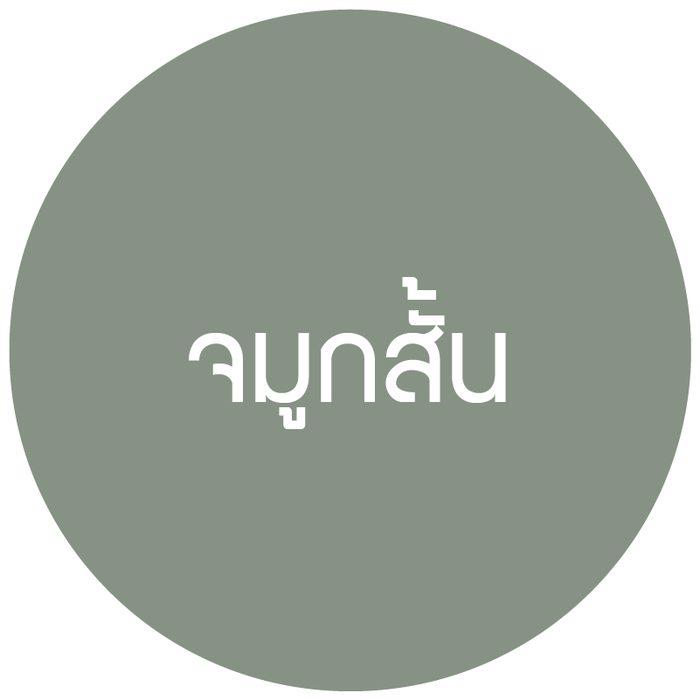 ไอคอนจมูกสั้น