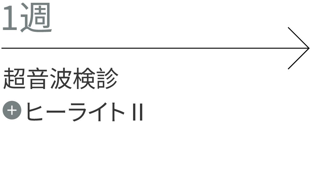 1週：超音波検診、Healite II