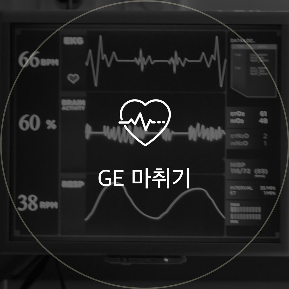 GE 마취기기 아이콘: 생체 신호 모니터 화면
