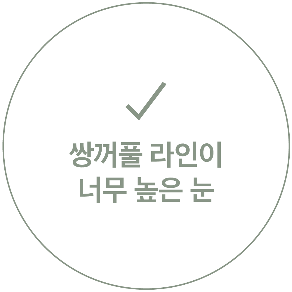 체크 표시와 "쌍꺼풀 라인이 너무 높은 눈" 문구가 적힌 카드 이미지
