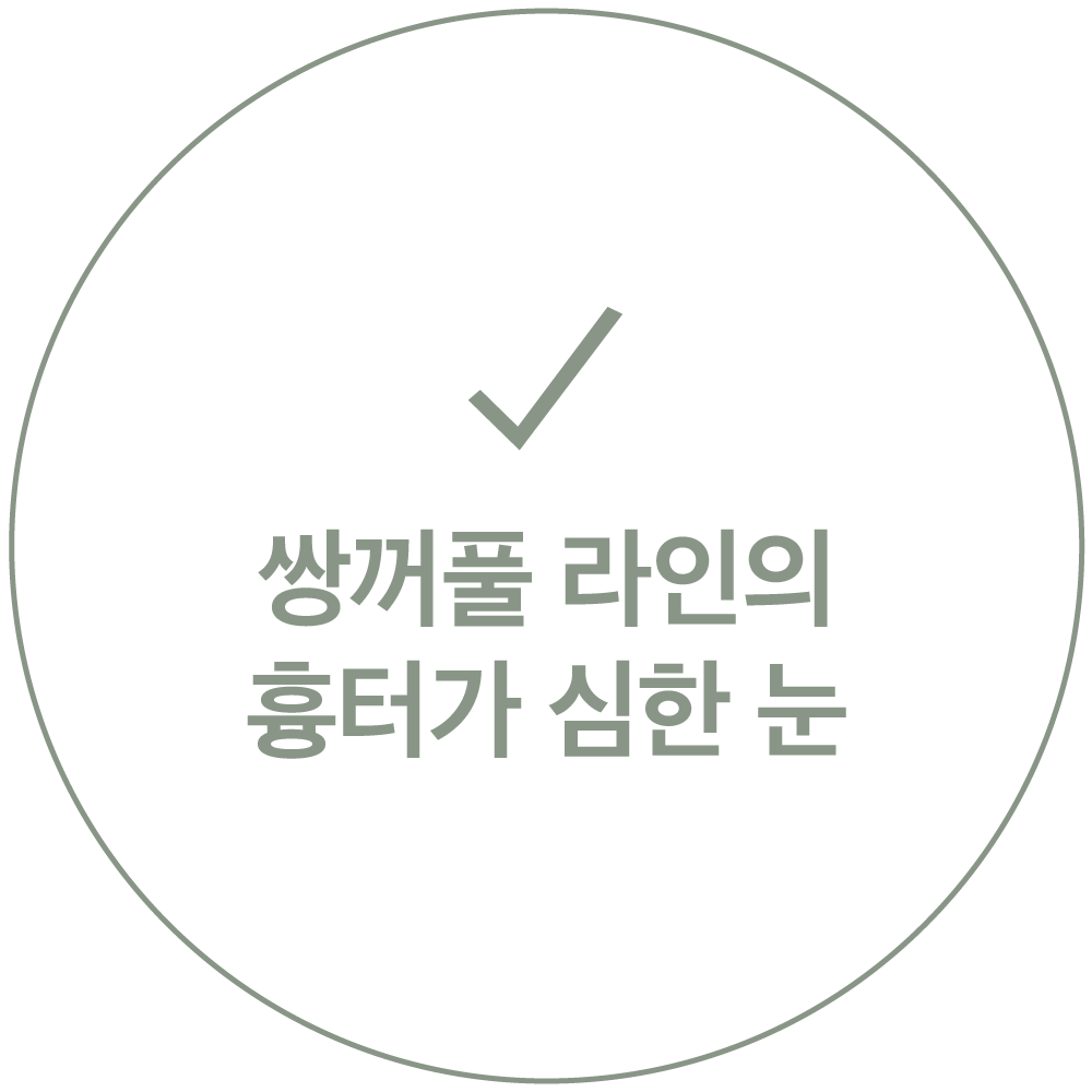 체크 표시와 "쌍꺼풀 라인의 흉터가 심한 눈" 문구가 적힌 카드 이미지