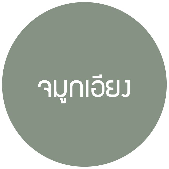 ไอคอนจมูกเอียง