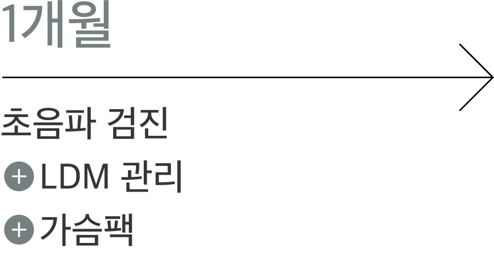 1개월: 초음파 검진, LDM 관리, 가슴팩
