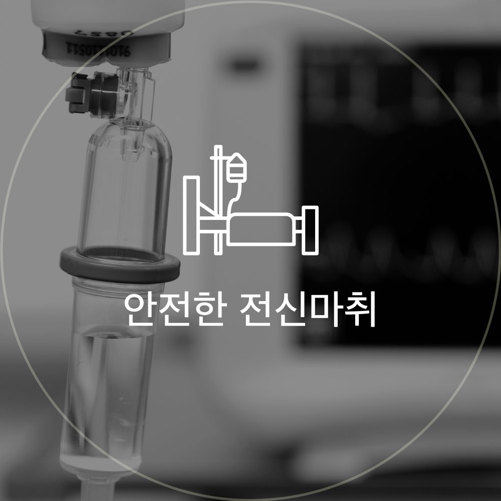 안전한 전신마취 아이콘: 마취 회로와 모니터