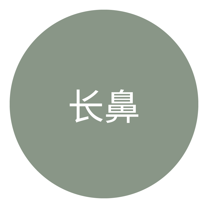 长鼻类型图标